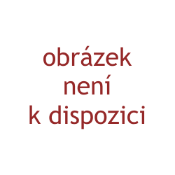 SPRO Náhradní špička na prut plná Solid Carbon Tip 3,0-1,0mm