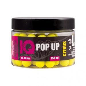 LK Baits IQ Method Feeder Pop Up Fluoro Boilies 10 - 12mm 150ml Citrus