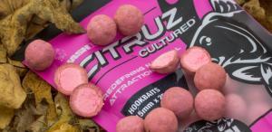 Nash Boilies Citruz Cultured Hookbaits 15mm 25ks