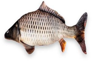 Polštář Kapr šupináč 42cm Polštář Kapr šupináč 42cm