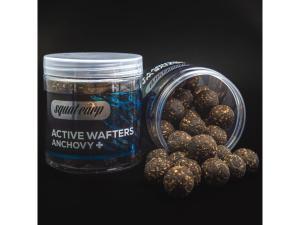 Squat Carp Active Wafters Anchovy+ 20mm 150gr Squat Carp Active Wafters Anchovy+ 20mm 150gr